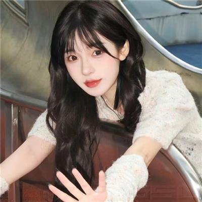 纸盒藏尸之公审